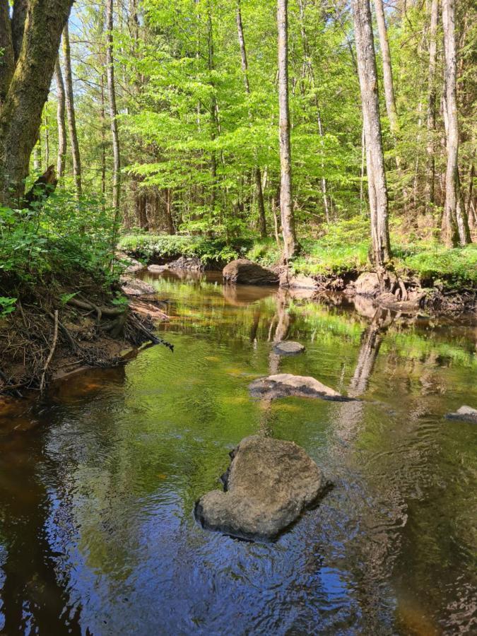 Byskolansvandrarhem Bronnestad Екстериор снимка
